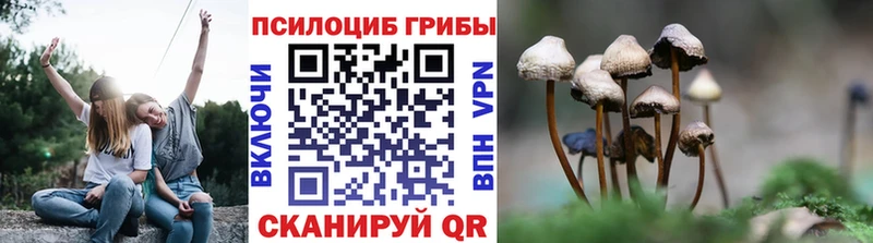 Купить  Пролетарск  Псилоцибиновые грибы Cubensis 